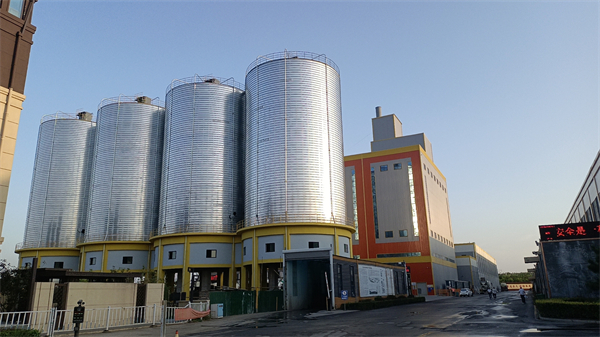 1710762057719707.jpg 1710762057719707.jpg